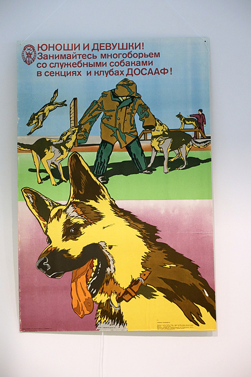 Экспозиция музея собак на международной выставке собак «Огни Прикамья - 2015»